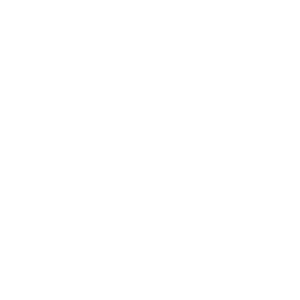 Phone call Icon